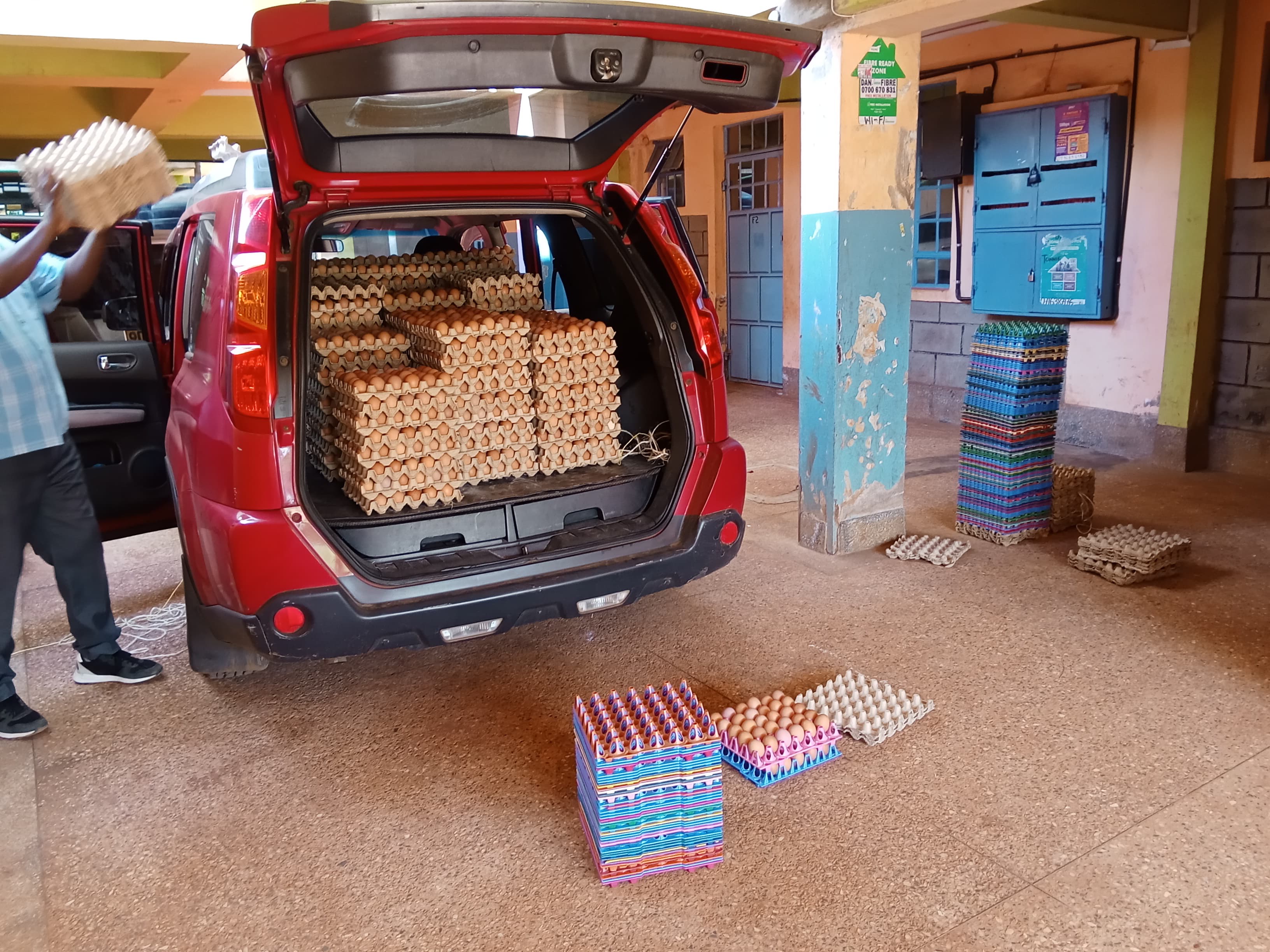 Free-Range Eggs (Dozen)